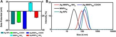 A Microfluidic Chip-Based MRS Immunosensor for Biomarker Detection via Enzyme-Mediated Nanoparticle Assembly